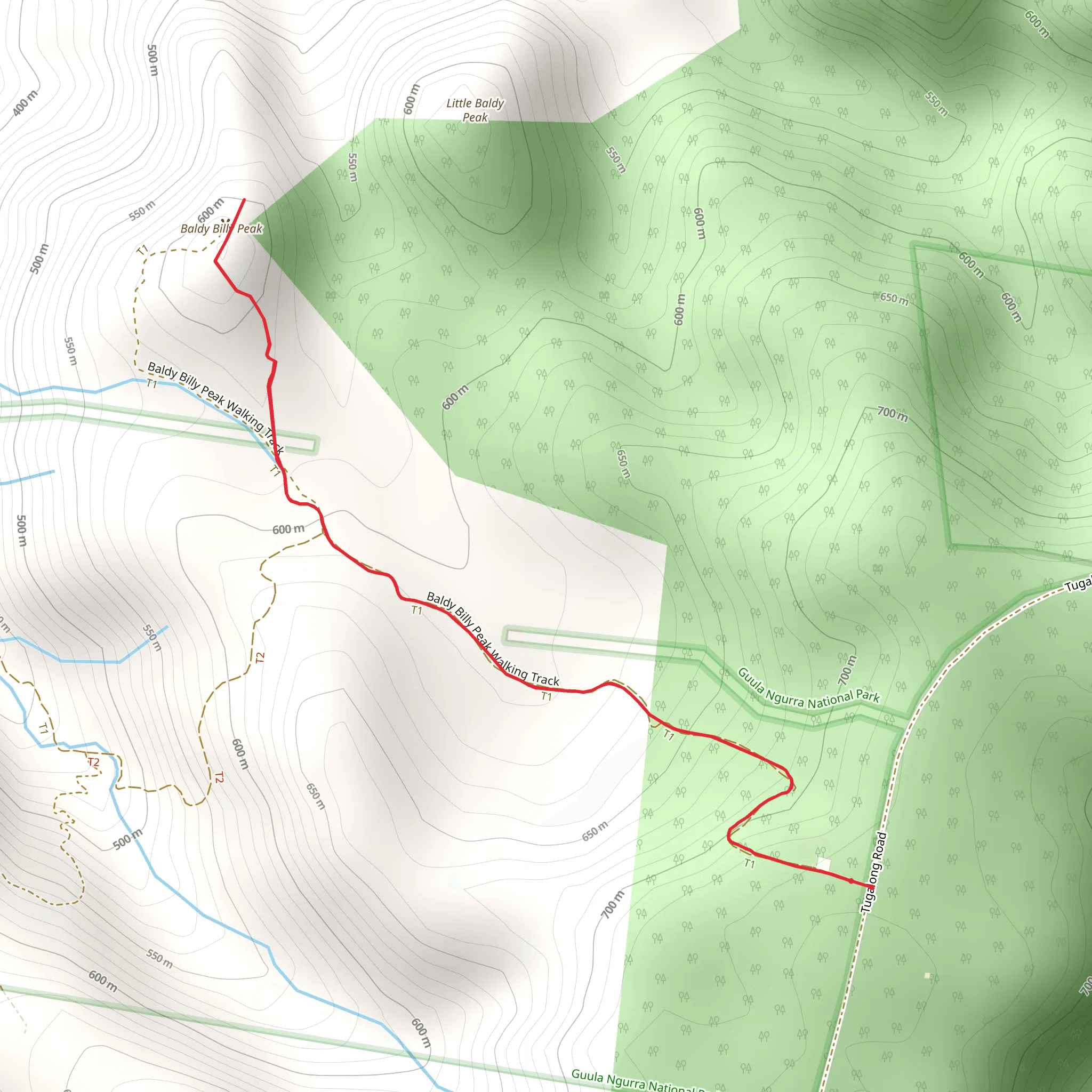 Baldy Billy Peak Track mobile static map