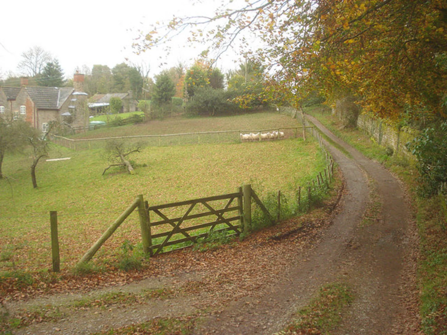 An image depicting the trail Brockhampton Park, Look-out Wood and Warren Wood Walk and its surrounding area.