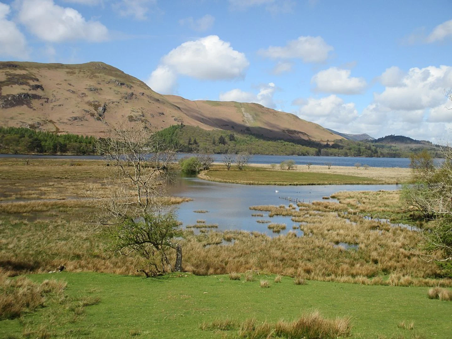 An image depicting the trail Cat Bells, Manesty Park and Myrtle Bay Loop and its surrounding area.