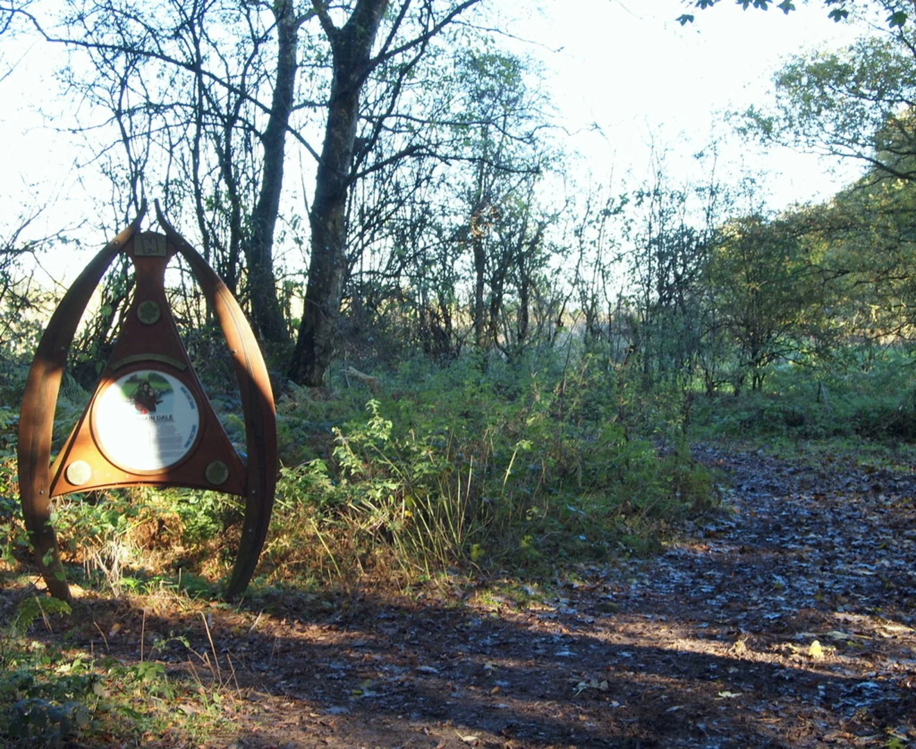 An image depicting the trail Harlow Wood and Thieves Wood Loop and its surrounding area.