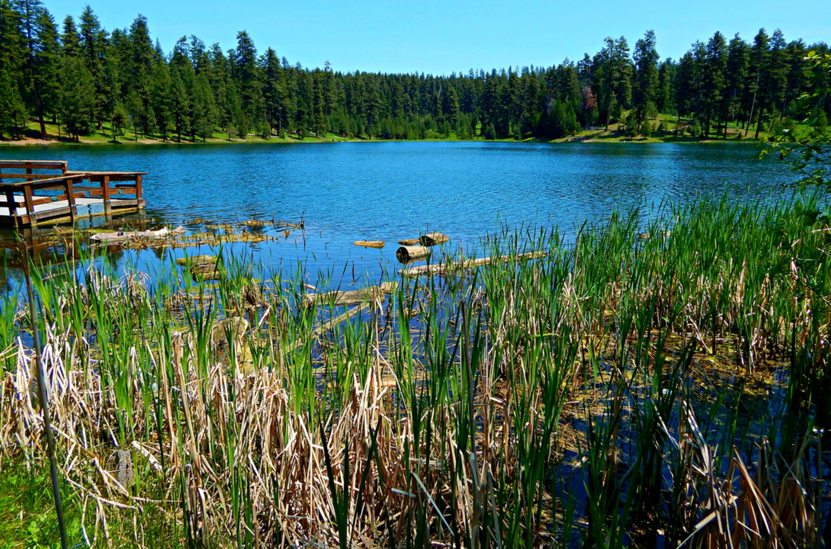 An image depicting the trail Round Mountain Trail and its surrounding area.