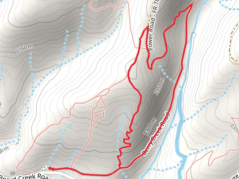 Loop beside Berry Creek