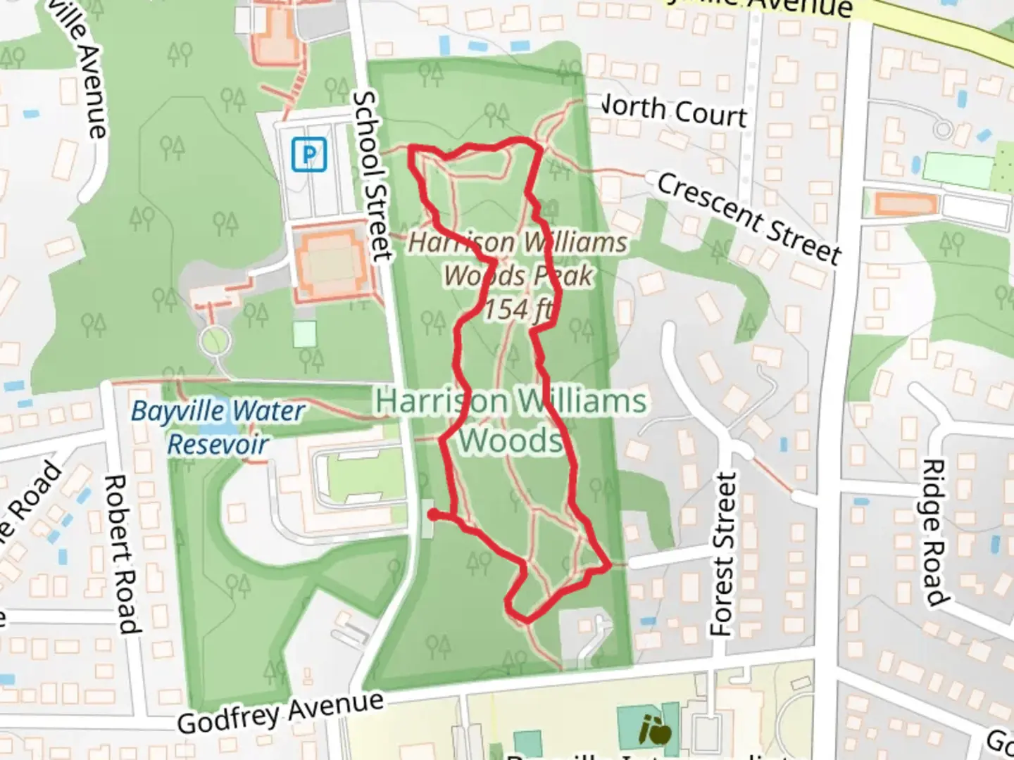 An image depicting the trail Peak Harrison Williams Woods Loop and its surrounding area.
