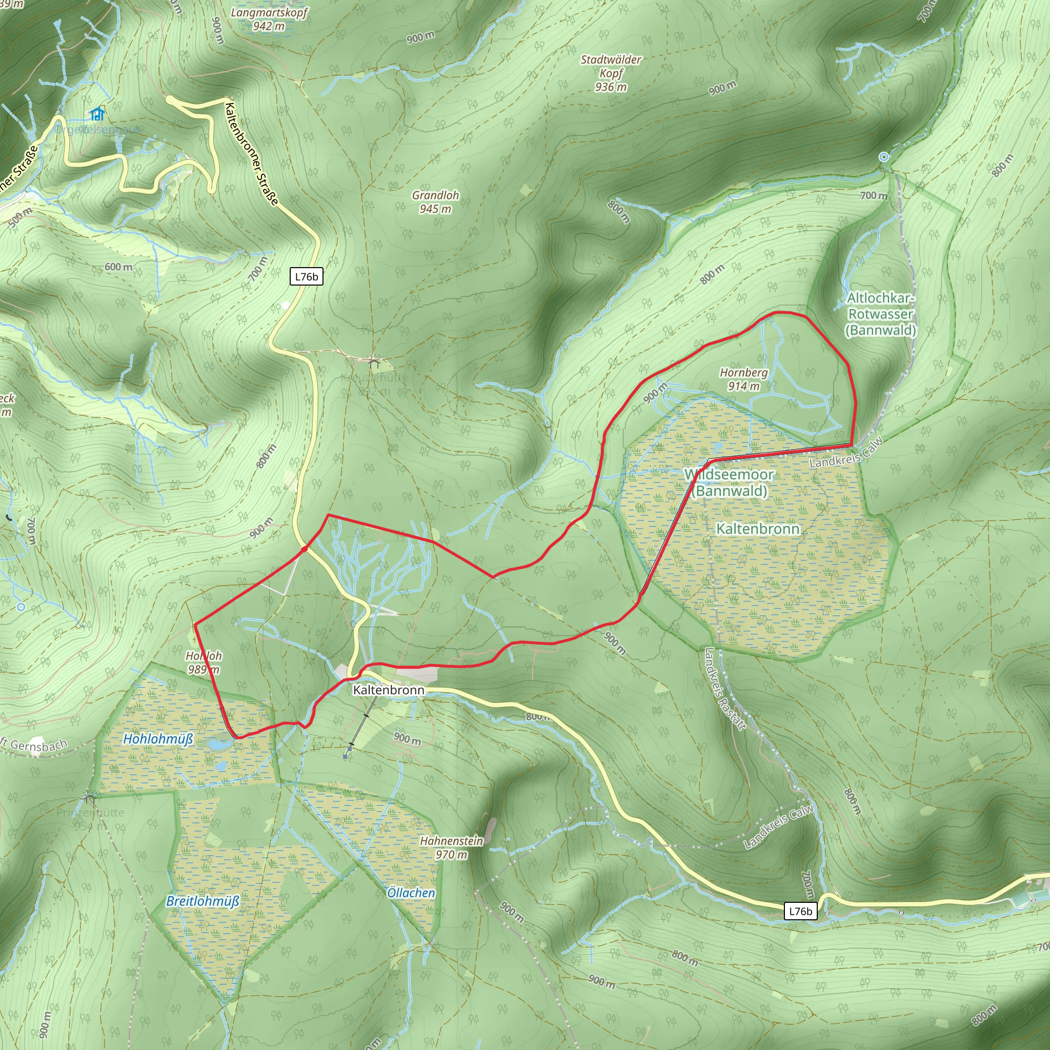 Wildsee via Oberer Hornweg and Mannslohweg mobile static map