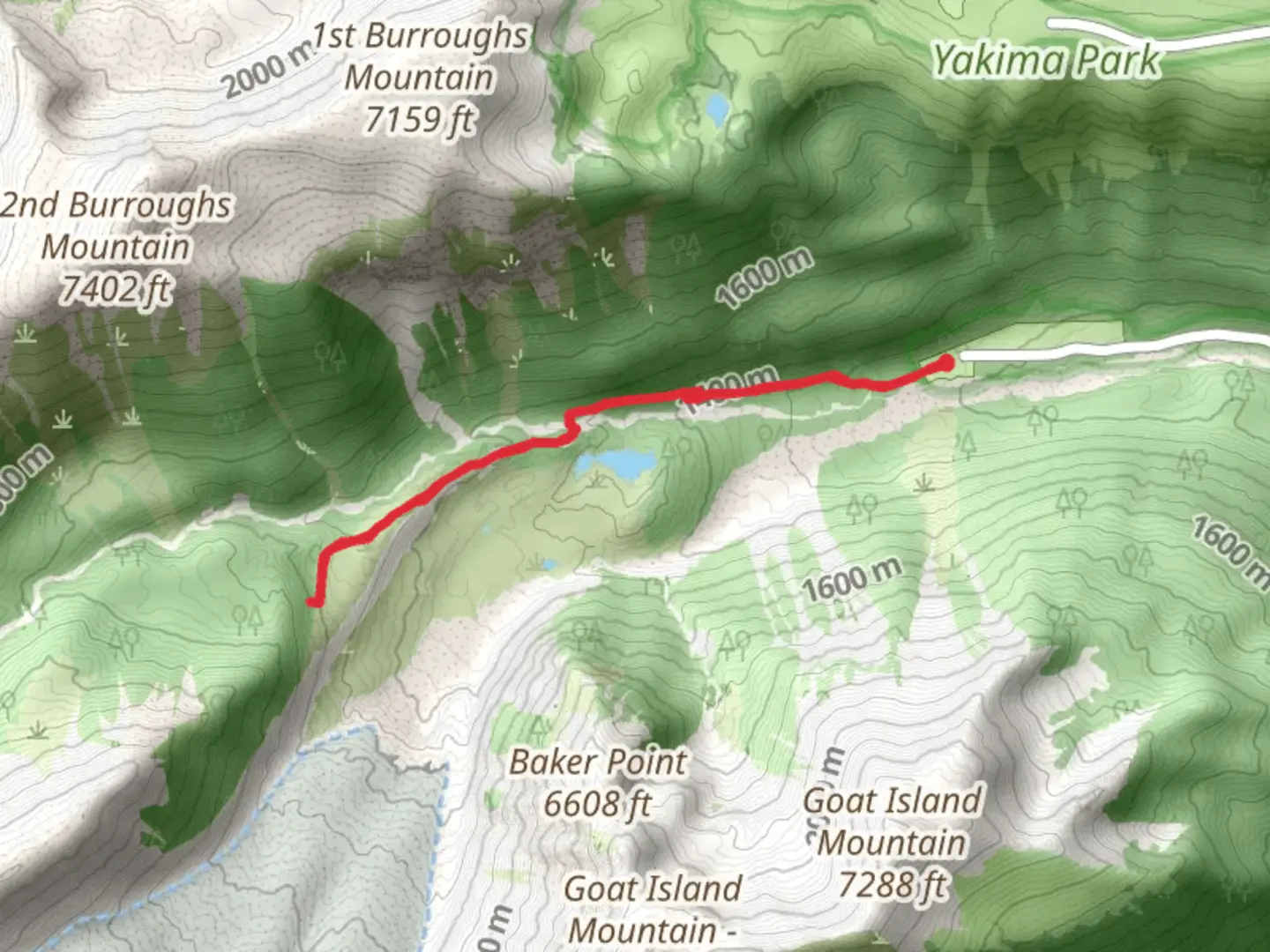 An image depicting the trail Emmons Moraine and Glacier Basin Trail and its surrounding area.