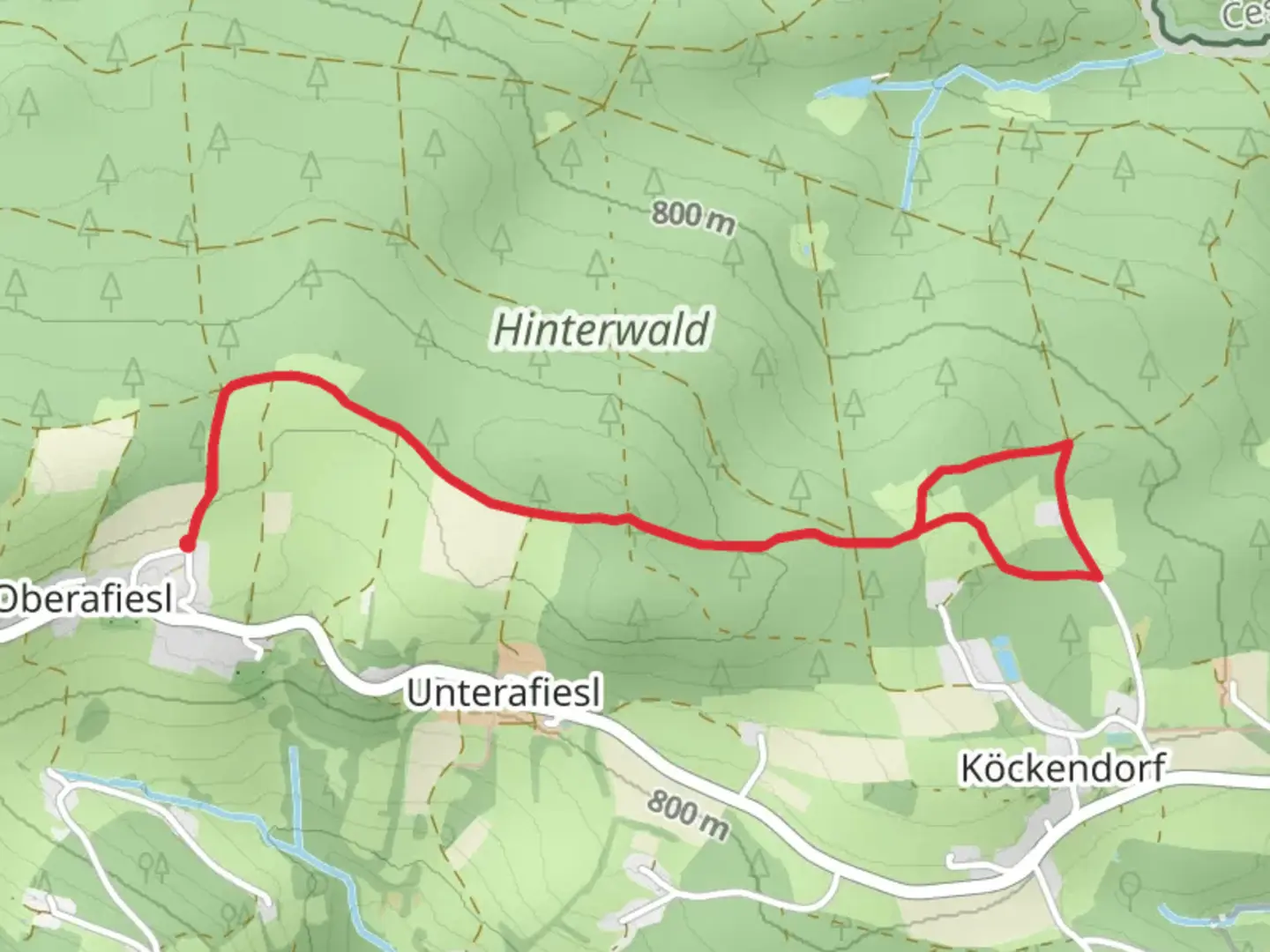 An image depicting the trail S11 Waldidylle and its surrounding area.