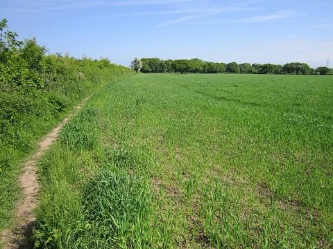 Parkgate Circular Walk