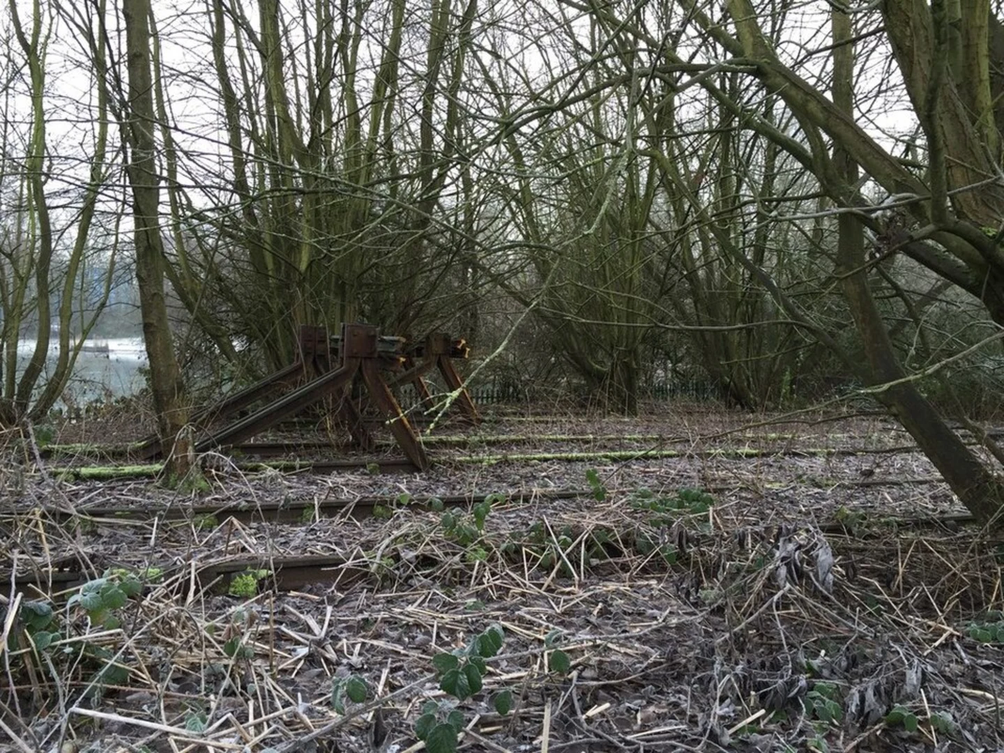 An image depicting the trail Westport Lake Loop and its surrounding area.