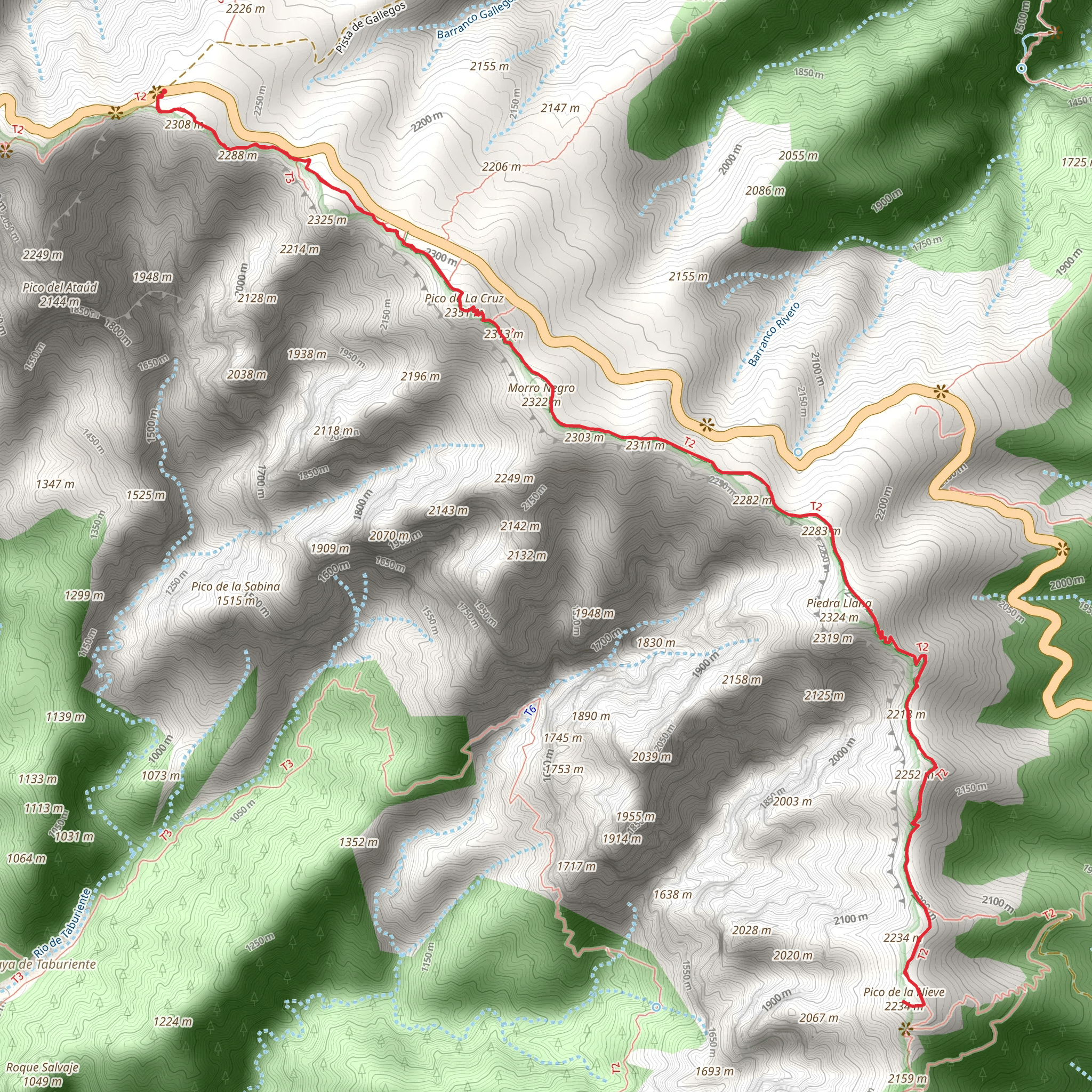 Pico de la Nieve Trail mobile static map