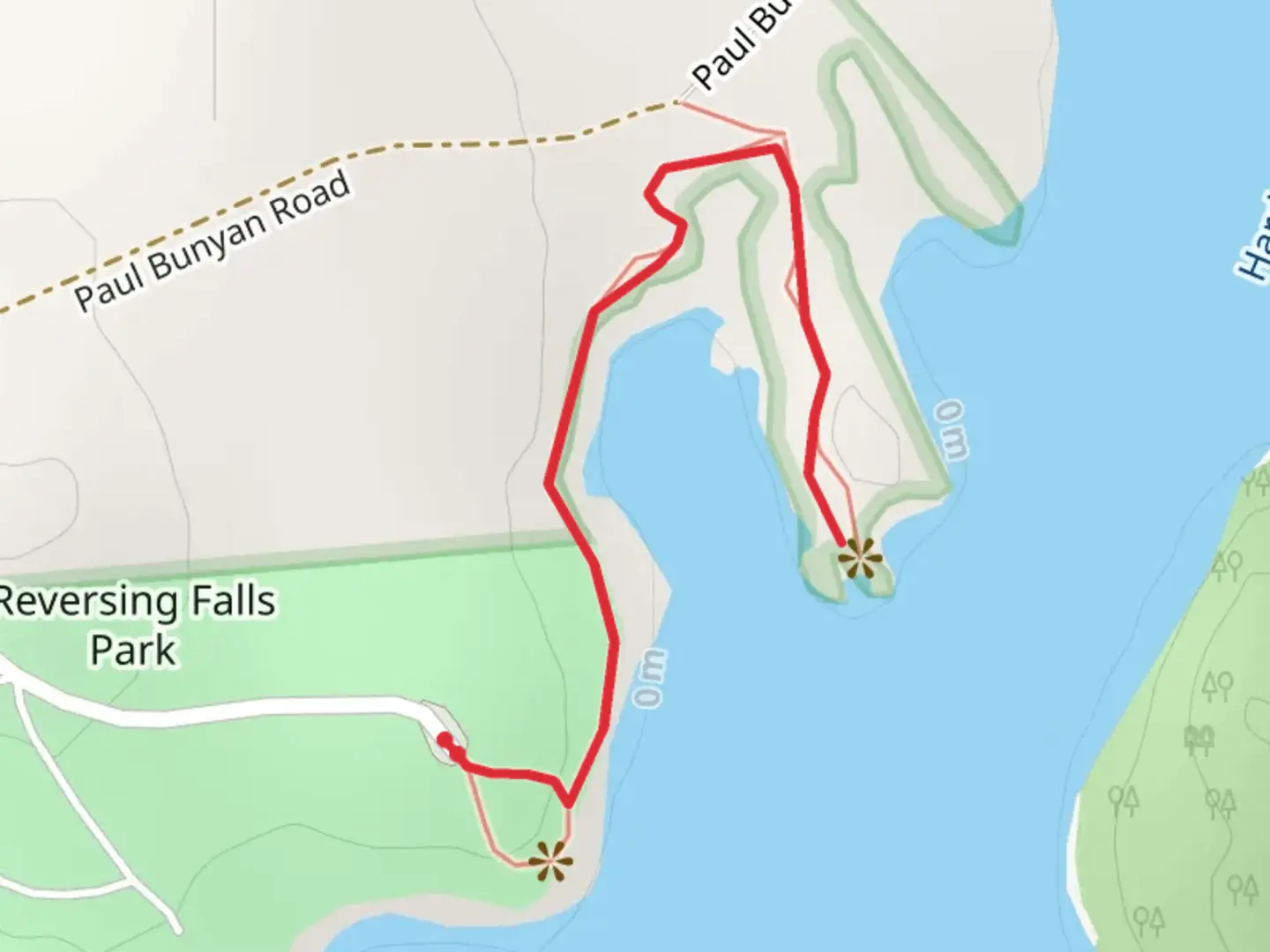 An image depicting the trail Cobscook Fallls and Reversing Falls Trail and its surrounding area.