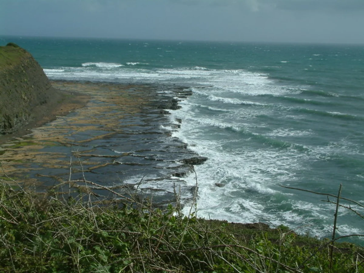 Swanage to Kimmeridge Walk