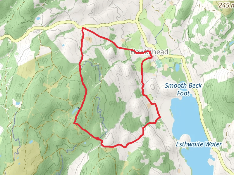 Hawkshead CIrcular Walk