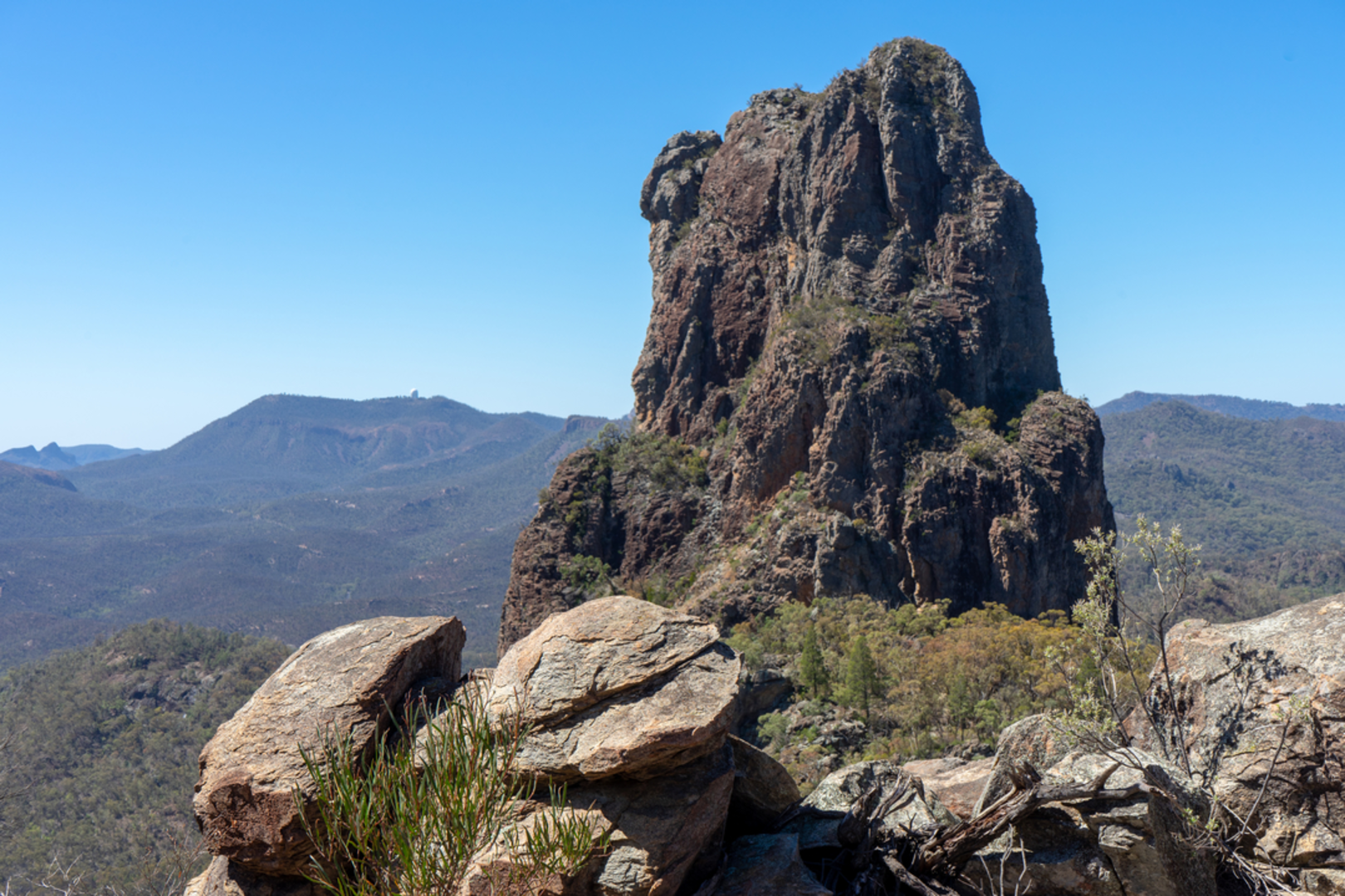 An image depicting the trail Bluff Mountain Track and its surrounding area.