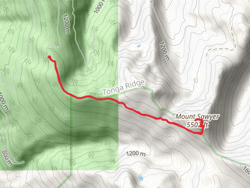 Mount Sawyer Trail and Tonga Ridge Trail
