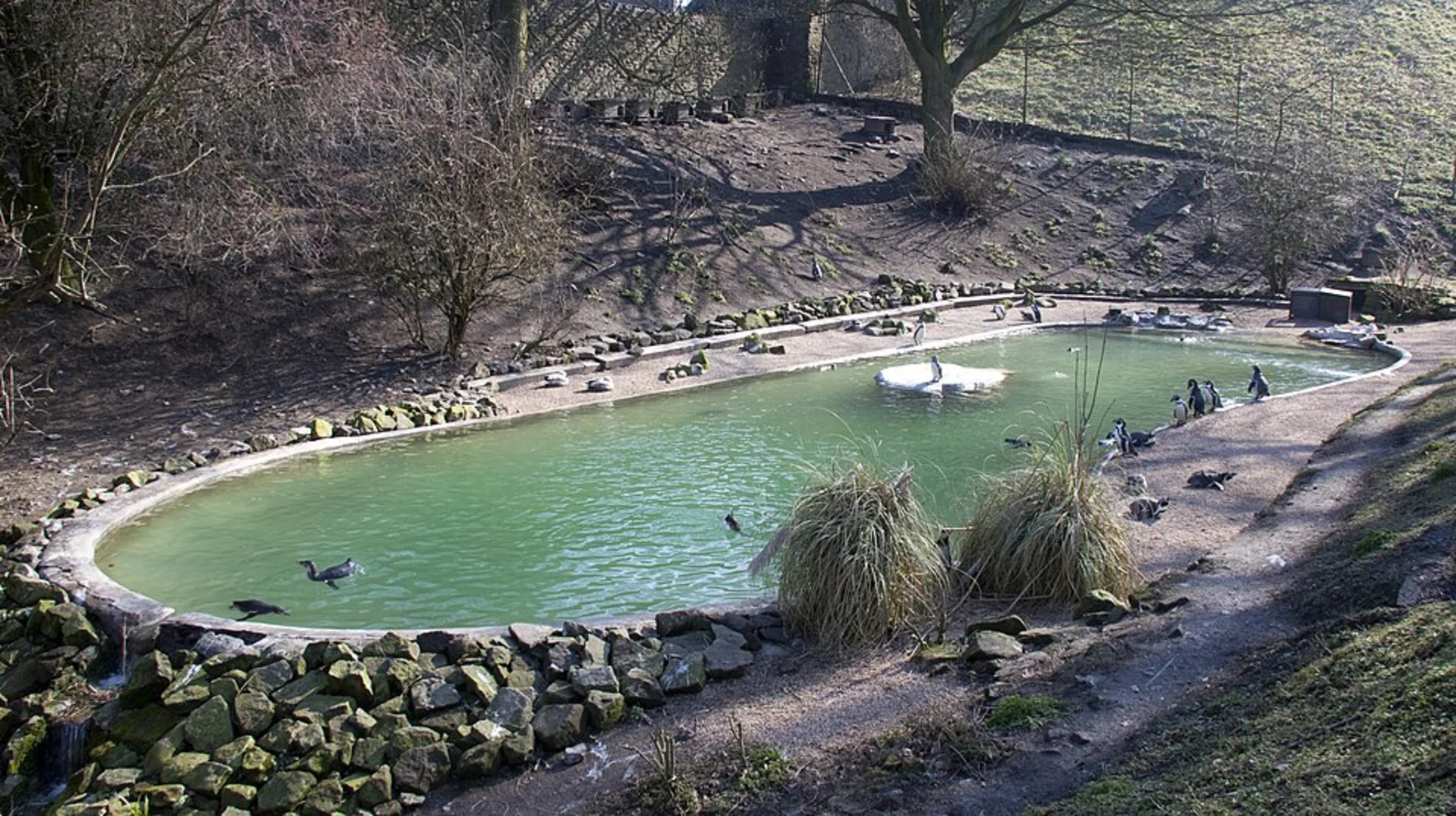 An image depicting the trail Dudley Zoo and Castle Loop and its surrounding area.