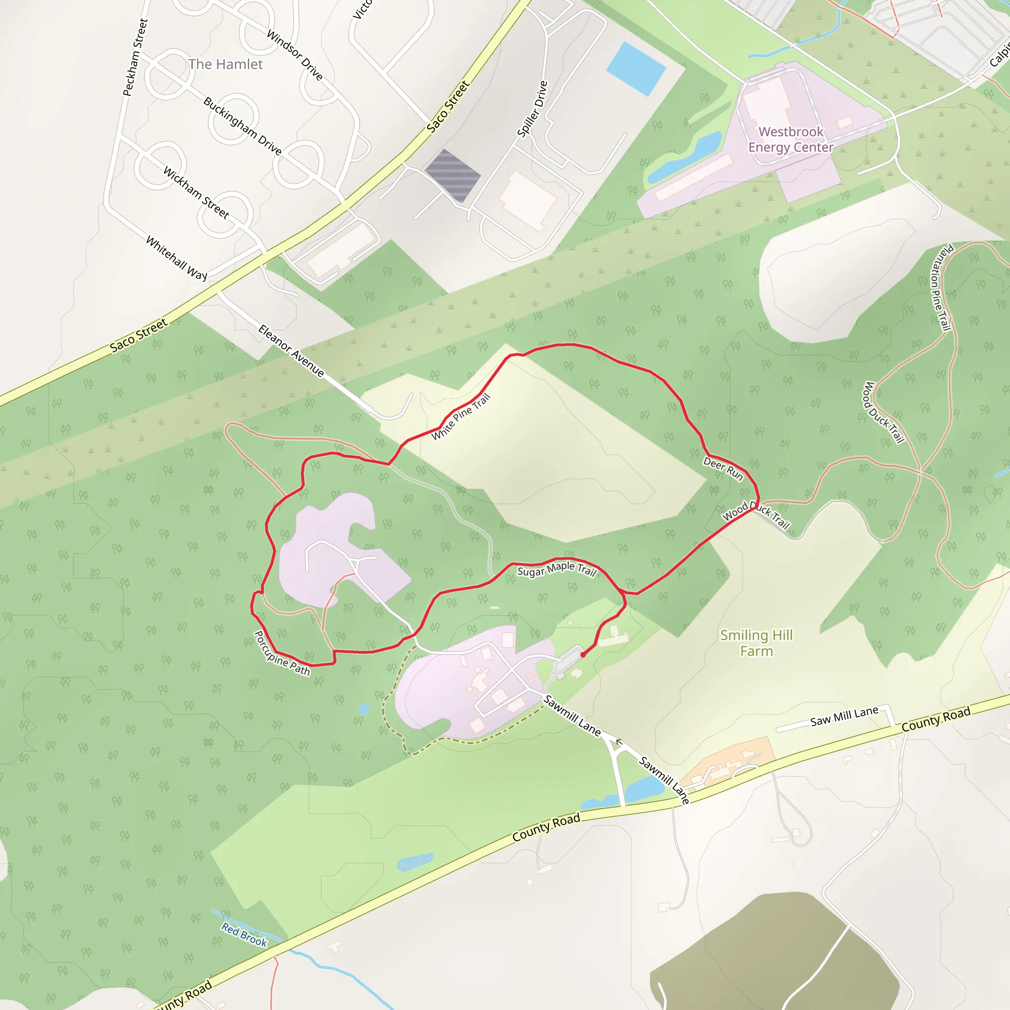 Sugar Maple and White Pine Trail mobile static map