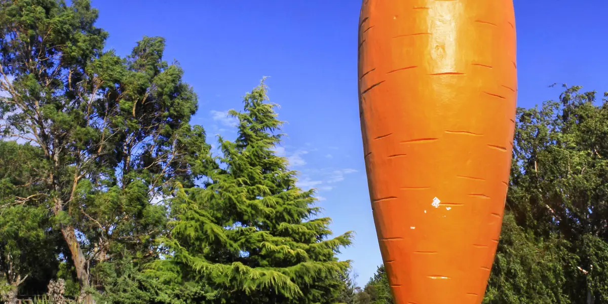 Okahune Jubilee Walkway