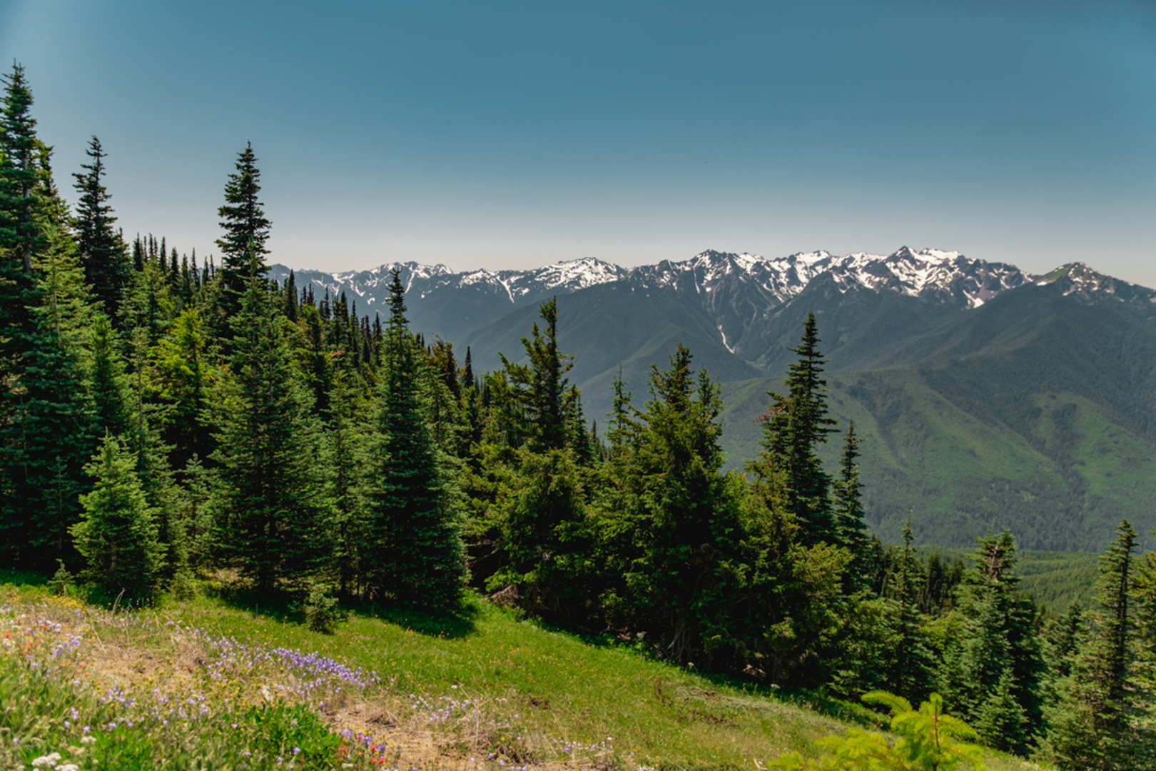 An image depicting the trail Hurricane Hill Nature Trail and its surrounding area.