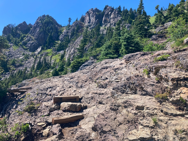 An image depicting the trail Mt Ellinor Trail and its surrounding area.