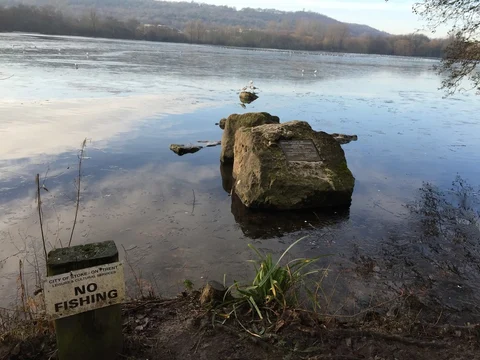 Stoke upon Trent to Kidsgrove Walk via Trent and Mersey Canal