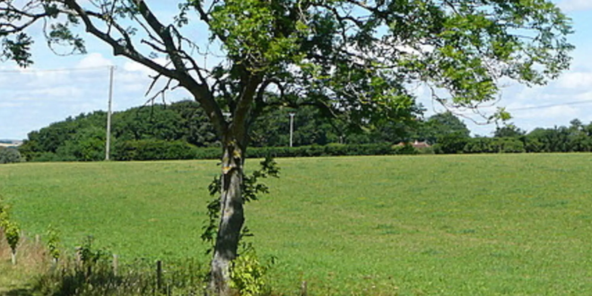 An image depicting the trail Stenbury Trail and its surrounding area.