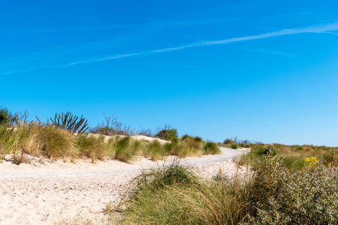 Ockenburgh to Hoek van Holland Haven via Heemtuin, Plassen Madestein and Ter Heijde