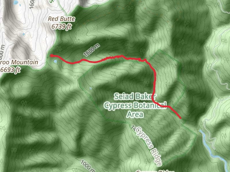 West Fork Seiad Creek Trail