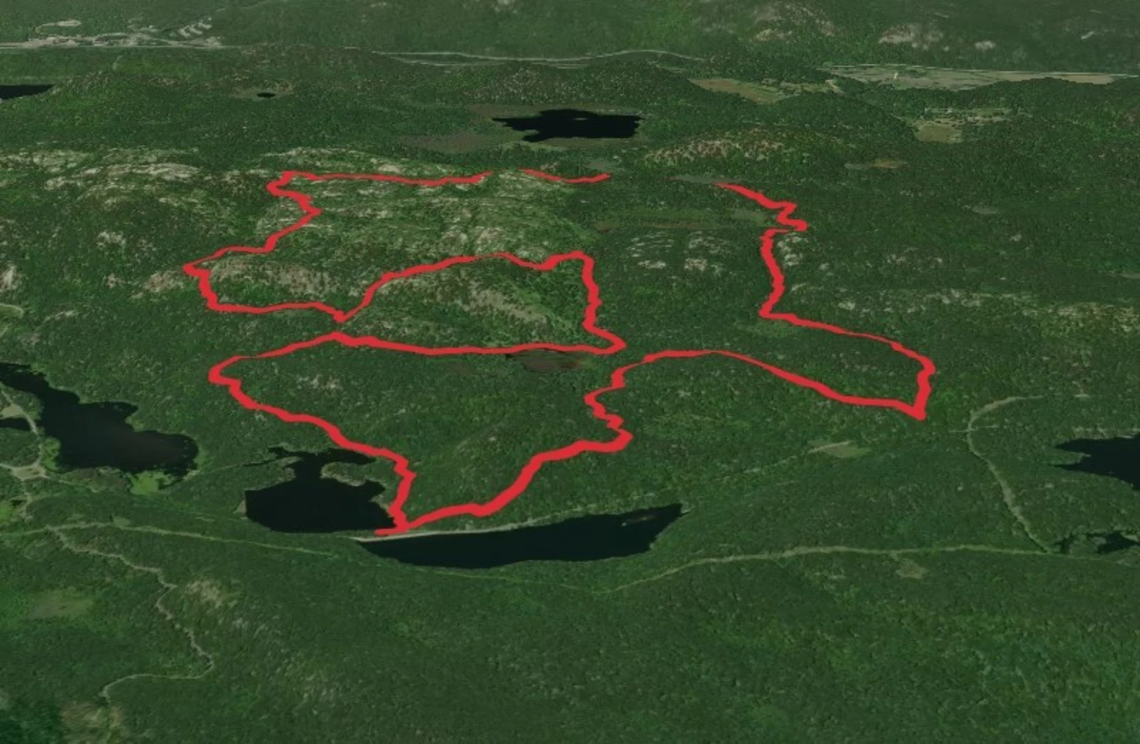 An image depicting the trail Pine Swamp, Surebridge and Hogencamp Mountain Loop and its surrounding area.
