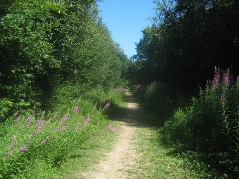 An image depicting the trail Old Bladbean Stud Gardens Loop and its surrounding area.