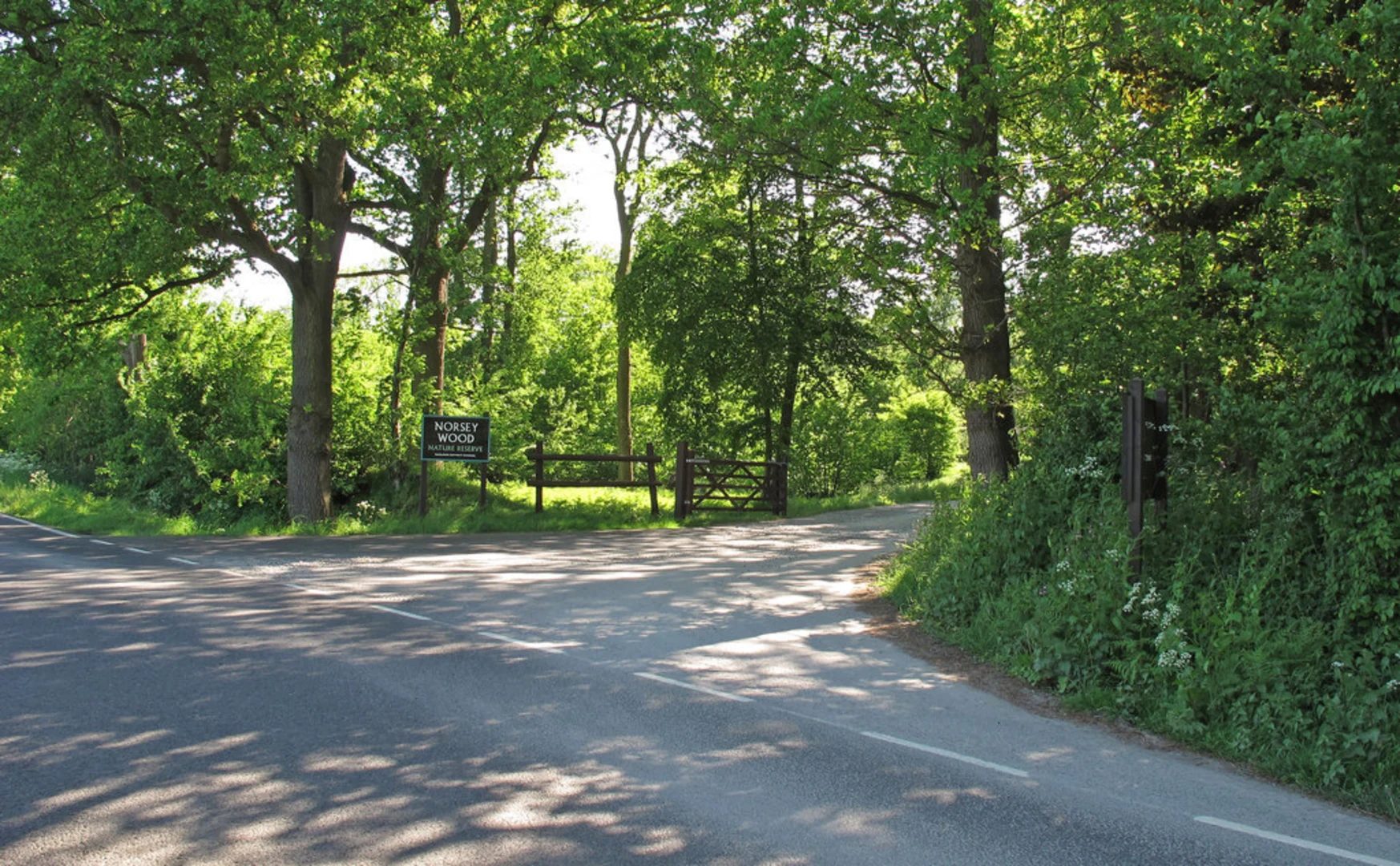 An image depicting the trail Norsey Woods Loop and its surrounding area.