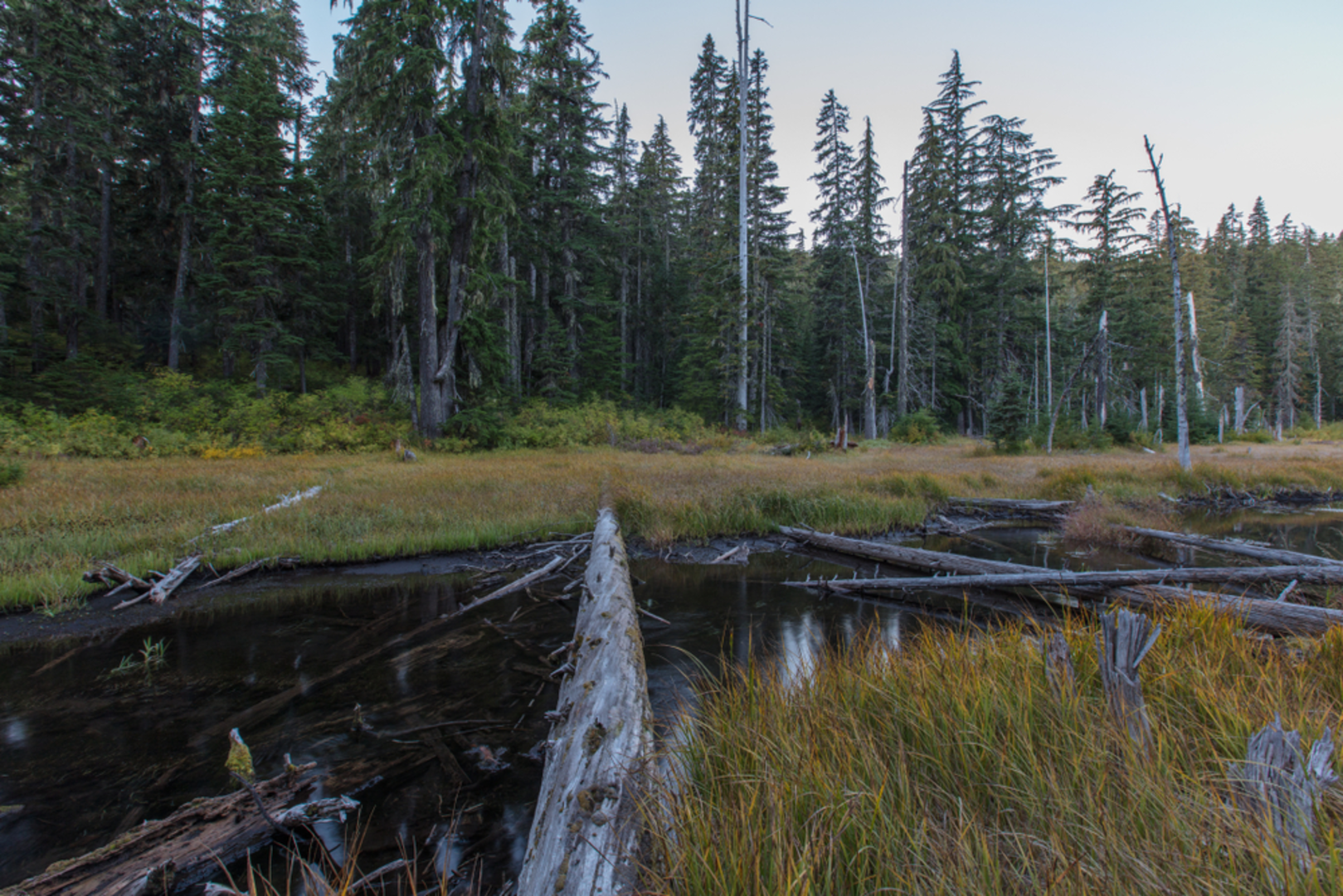 An image depicting the trail Grouse Point Trail and its surrounding area.