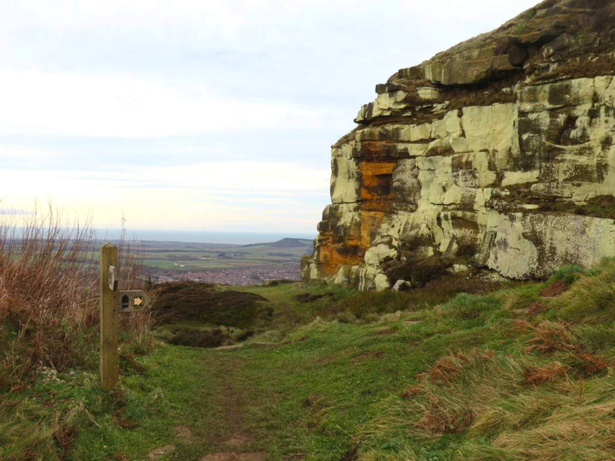 Bousdale Wood, Hutton Lowcross Woods and Highcliff Wood Walk