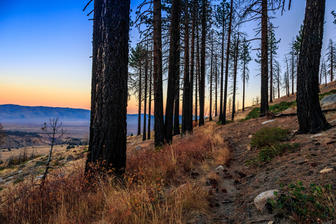 An image depicting the trail Sand Canyon Trail and its surrounding area.