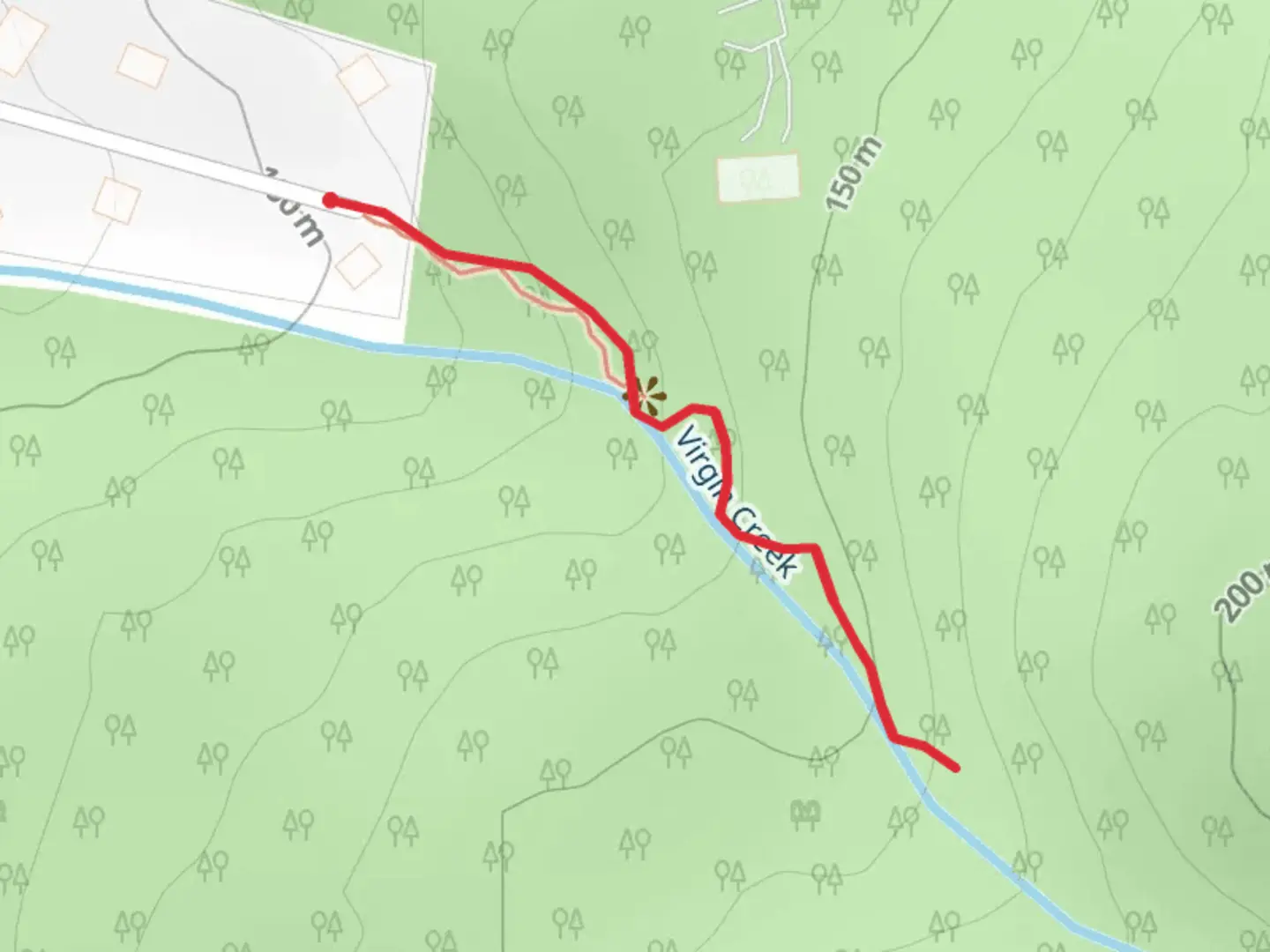 An image depicting the trail Walk along Virgin Creek and its surrounding area.