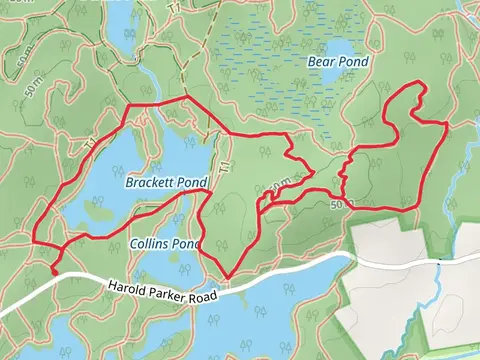 Brackett Pond Dam and Bear Pond Trail Loop
