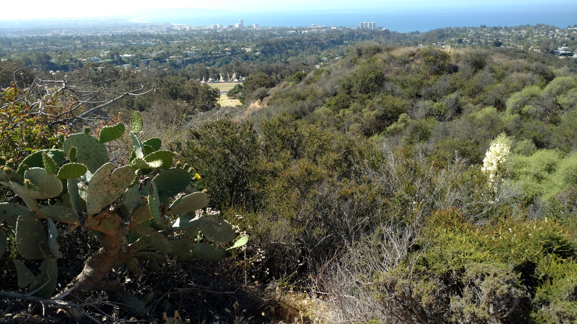 An image depicting the trail Rustic Canyon Trail and its surrounding area.