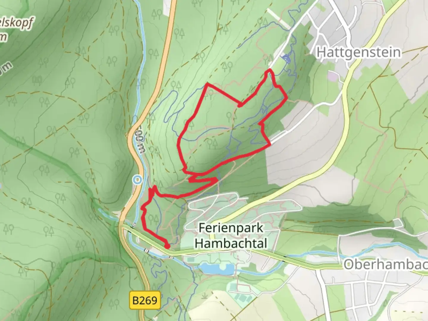 An image depicting the trail Hattgensteiner Fels and Rothenburg Loop and its surrounding area.