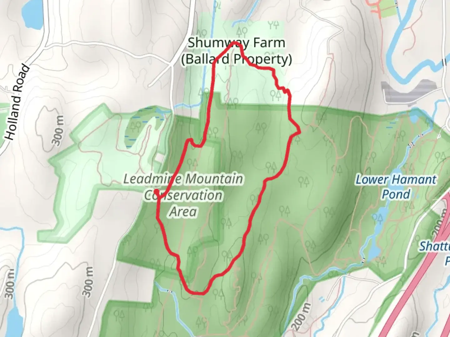 An image depicting the trail Mountain Laurel Trail - Green and white Loop and its surrounding area.