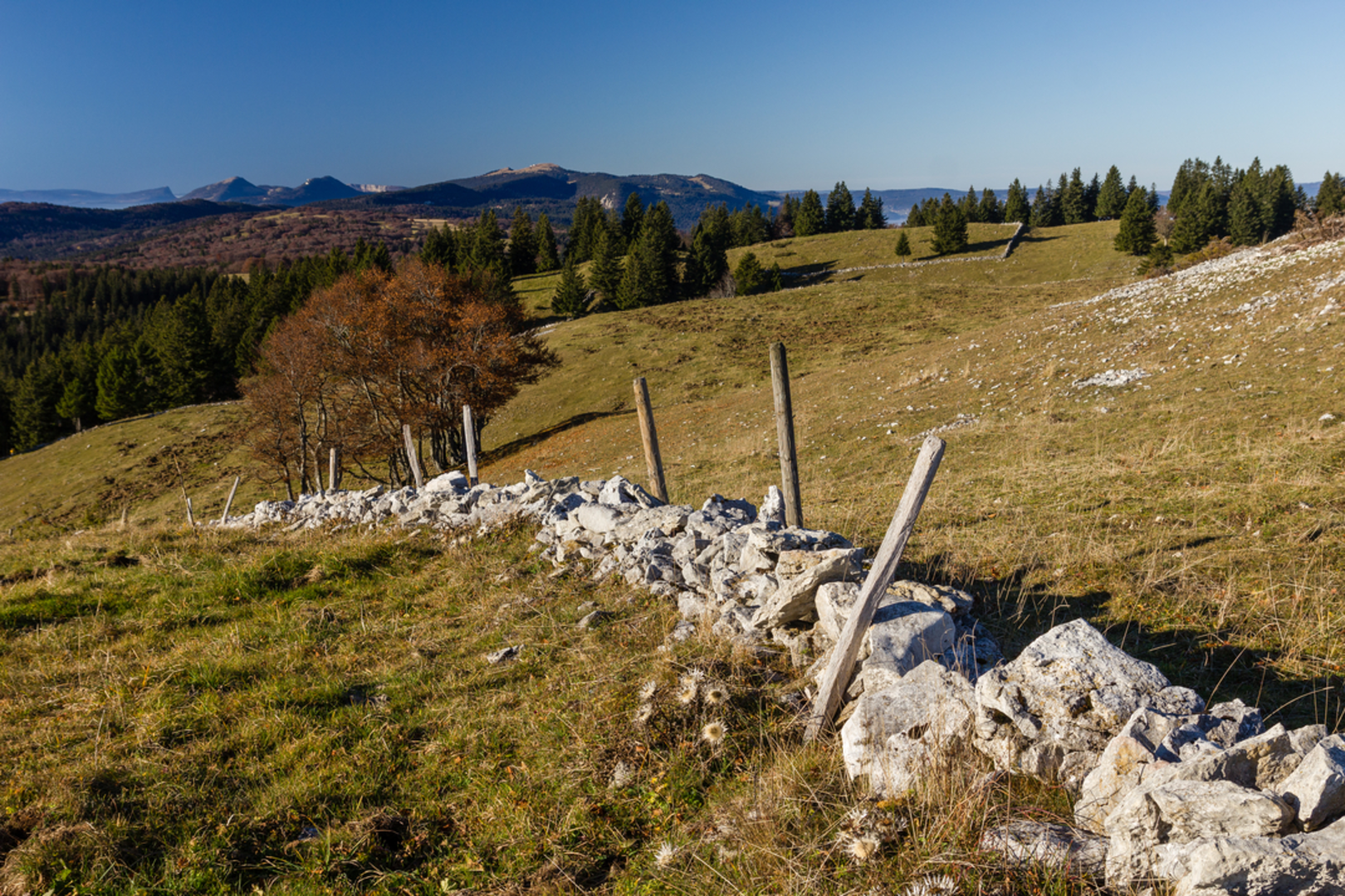 An image depicting the trail Lake Neuchâtel Lake Route and its surrounding area.
