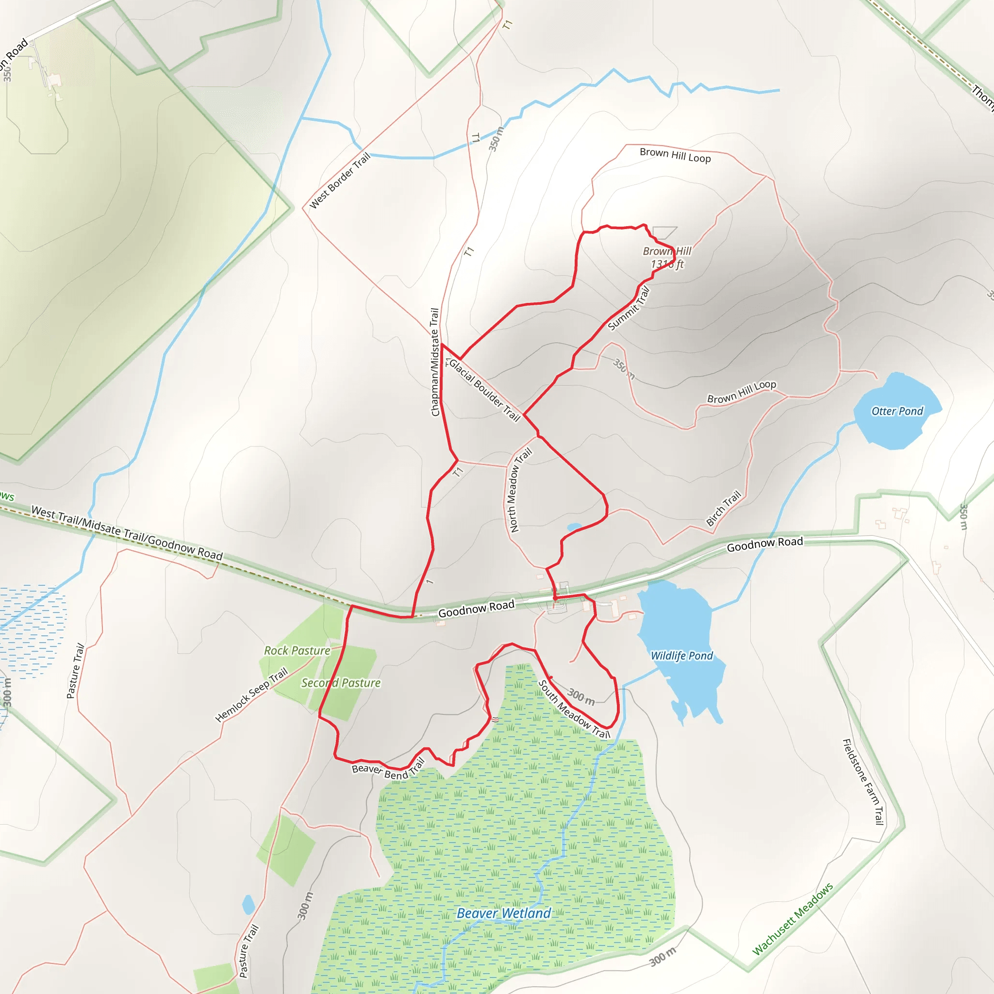 Brown Hill and South Meadow Loop Trail mobile static map