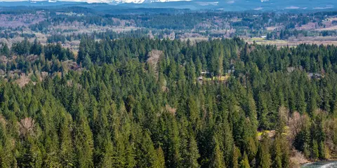 An image depicting the trail Bull of The Woods Loop and its surrounding area.