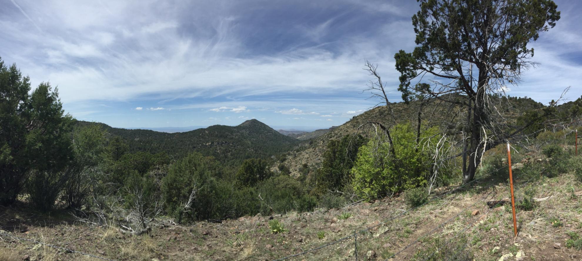 An image depicting the trail Martin Canyon Trail and its surrounding area.