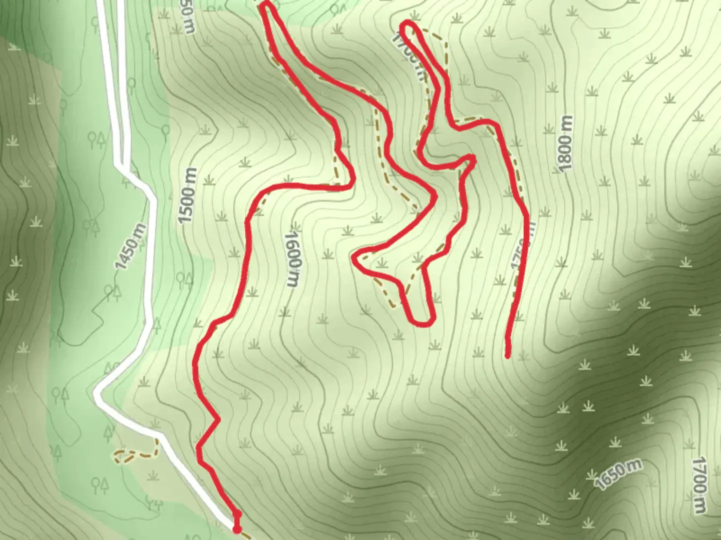An image depicting the trail Piquette Creek Out and Back Trail and its surrounding area.