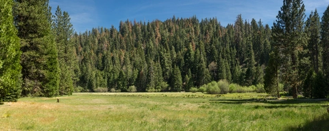 An image depicting the trail Long Meadow Loop Trail and its surrounding area.