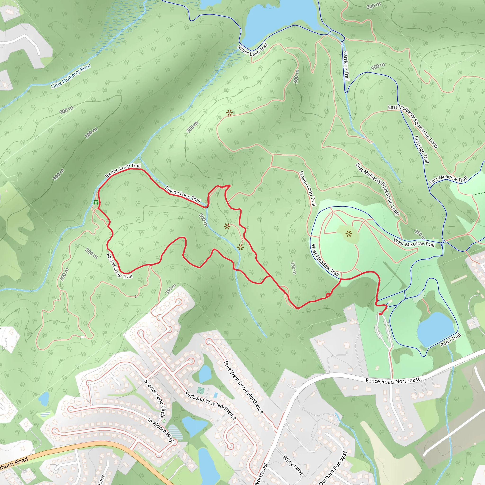 Ravine Loop Trail mobile static map