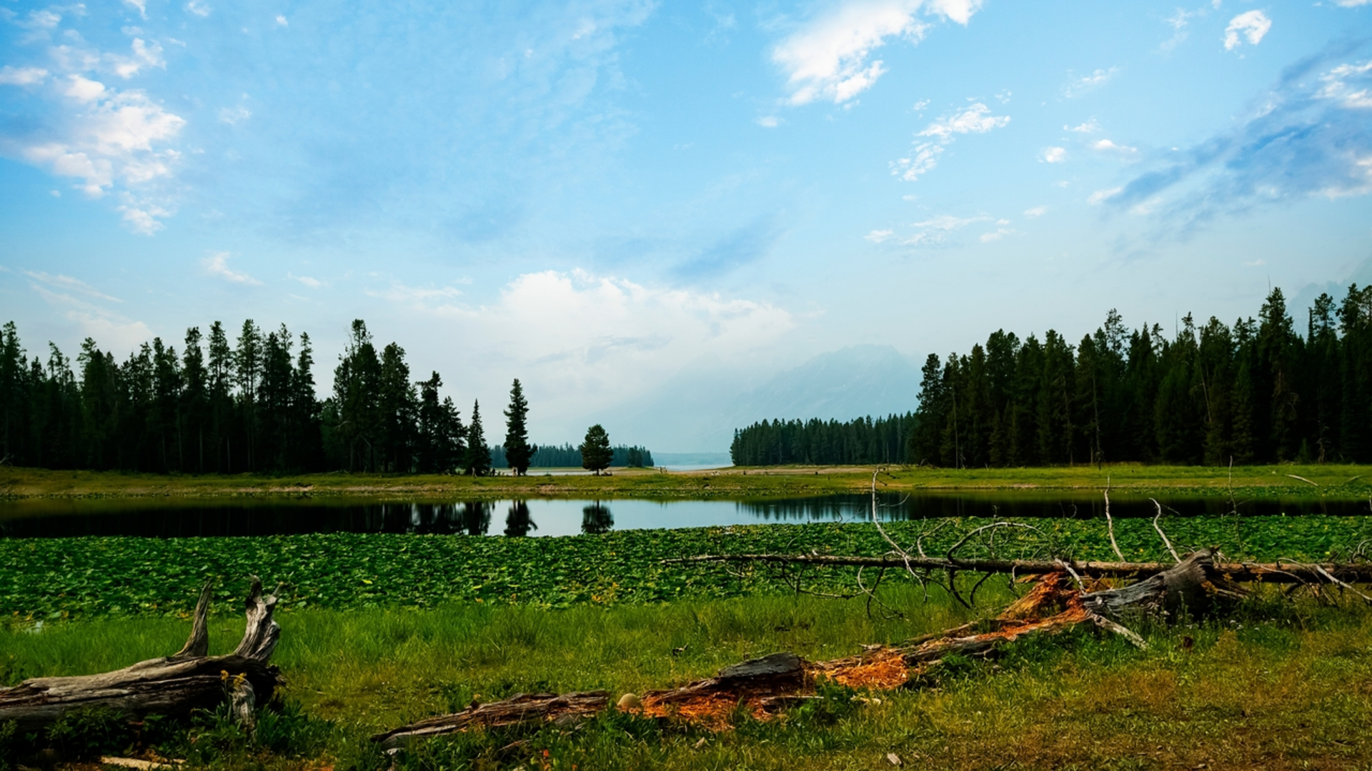 An image depicting the trail Jackson Lake Overlook via Hermitage Point Trail and its surrounding area.