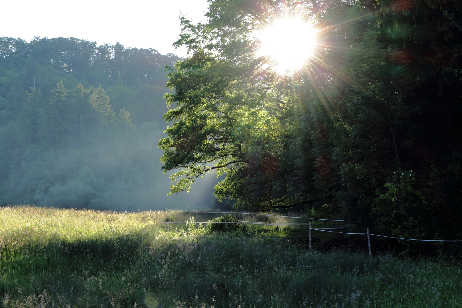 An image depicting the trail König Ludwig Weg and its surrounding area.