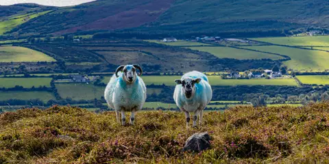 An image depicting the trail Grange Loops - Rooskey Loop and its surrounding area.