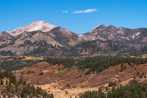 An image depicting the trail Little Sand Trail via Piedra River Trail and its surrounding area.