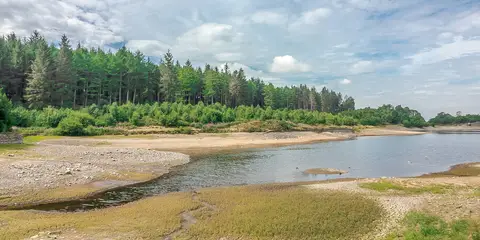 An image depicting the trail Shutlingsloe from Trentabank and its surrounding area.